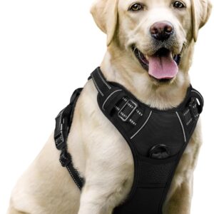 rabbitgoo no pull dog harness — rabbitgoo No-Pull Dog Harness (Large)
