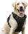 rabbitgoo No-Pull Dog Harness (Large) Review (2026): Worth It?
